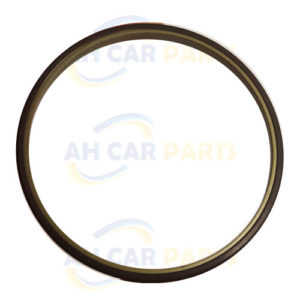 CHRYSLER 300 C - MAGNETIC ABS RING