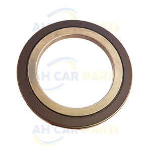 Chrysler 300 C Touring - MAGNETIC ABS RING