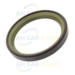 RENAULT  CLIO II - MAGNETIC ABS RING