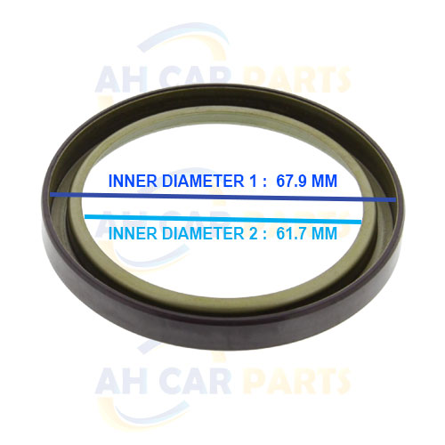 RENAULT THALIA II - MAGNETIC ABS RING - Image 3