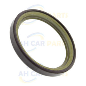 RENAULT CLIO MK2 - MAGNETIC ABS RING
