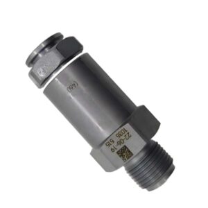 Fuel Rail Pressure Regulator Valve for Ford VW Cummins | 1110010035